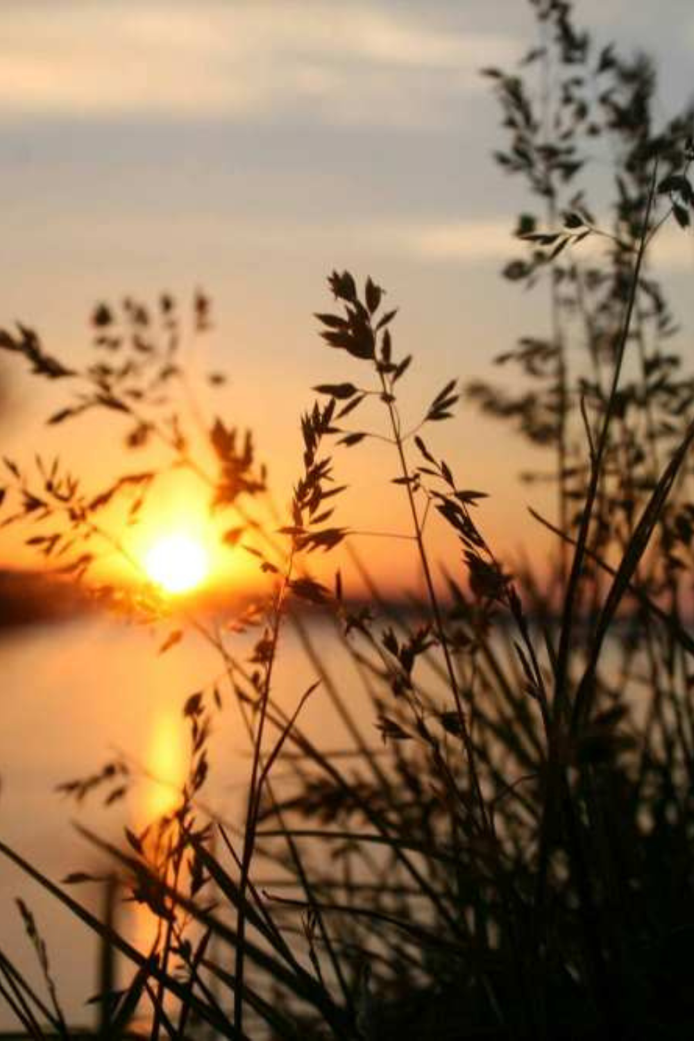 sunrise over the lake , symbolizing vitality