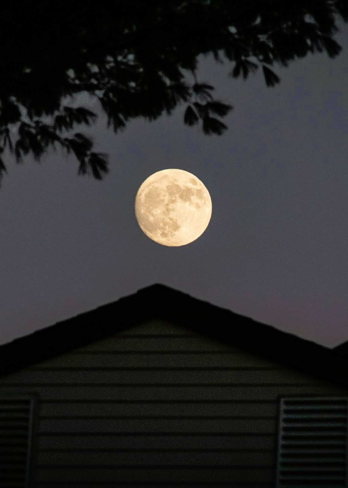 Full Moon in the night sky.