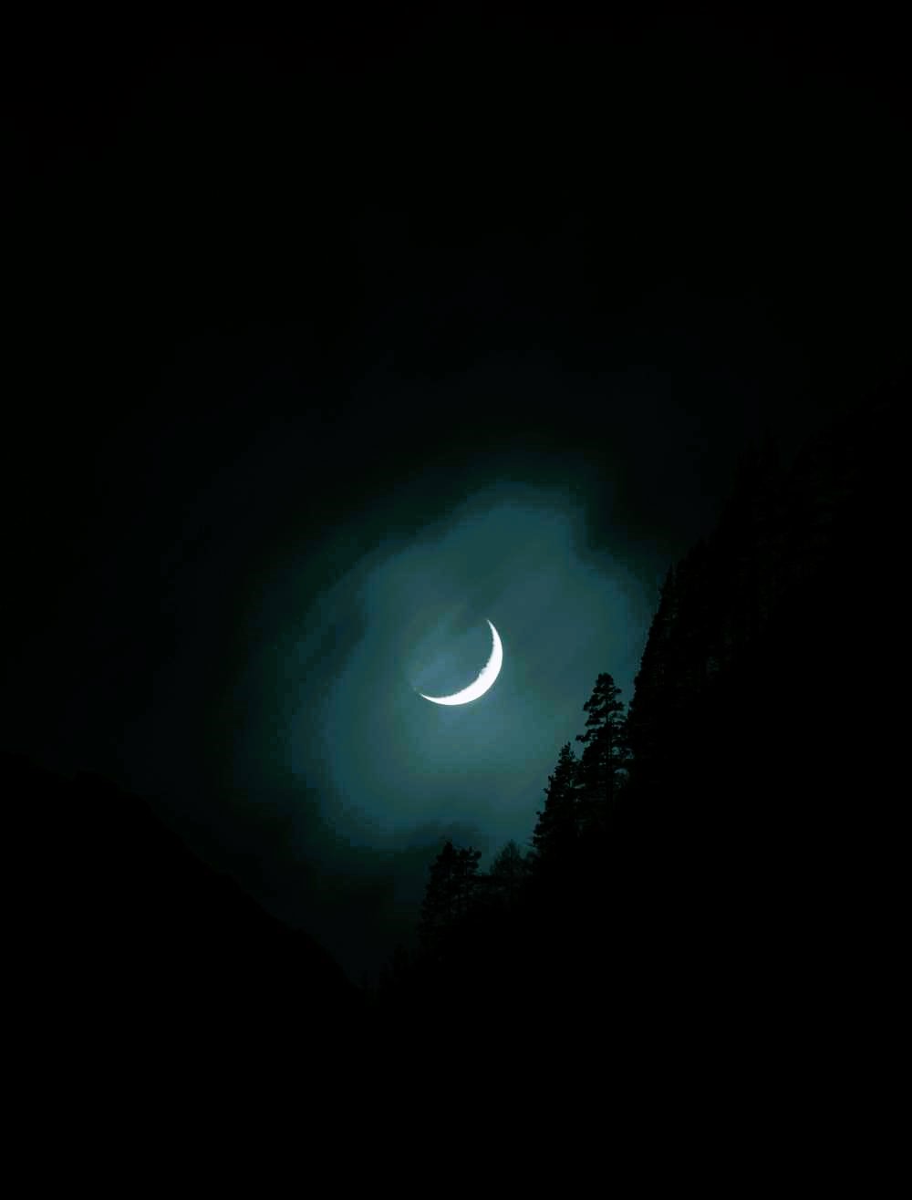 Crescent moon in the night sky