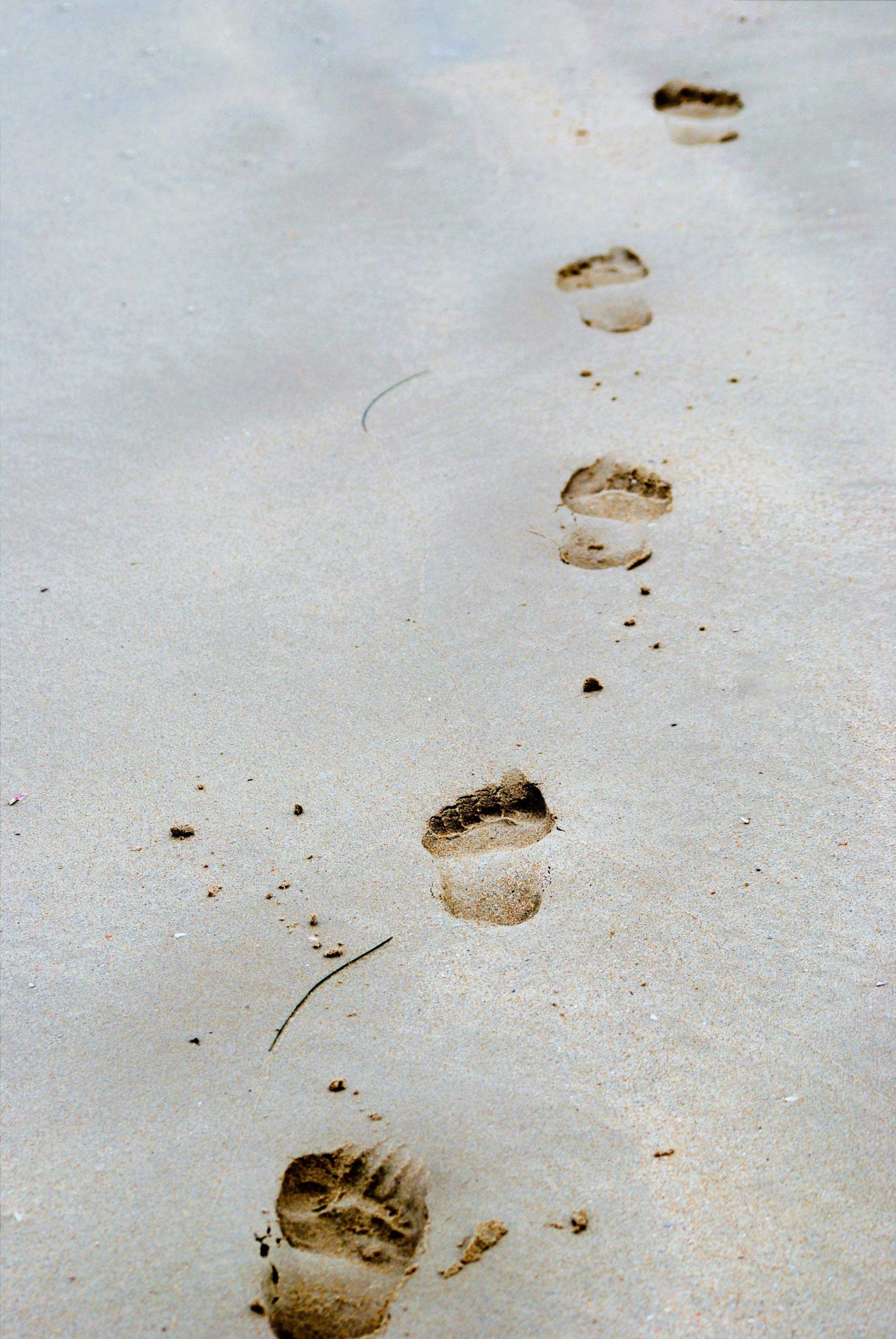 Footsteps in the sand