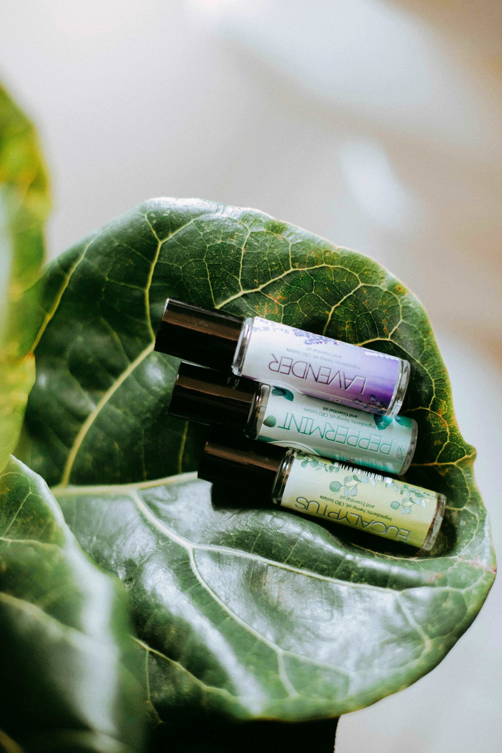 3 essential oils mini bottles on the leaf