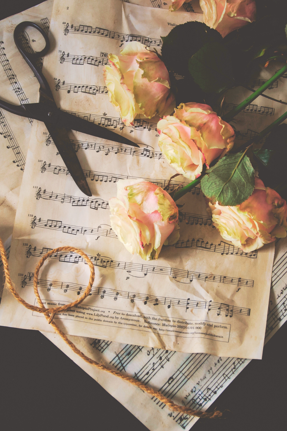 A theme of roses and musical notes symbolizing the harmony and passion of a relationship