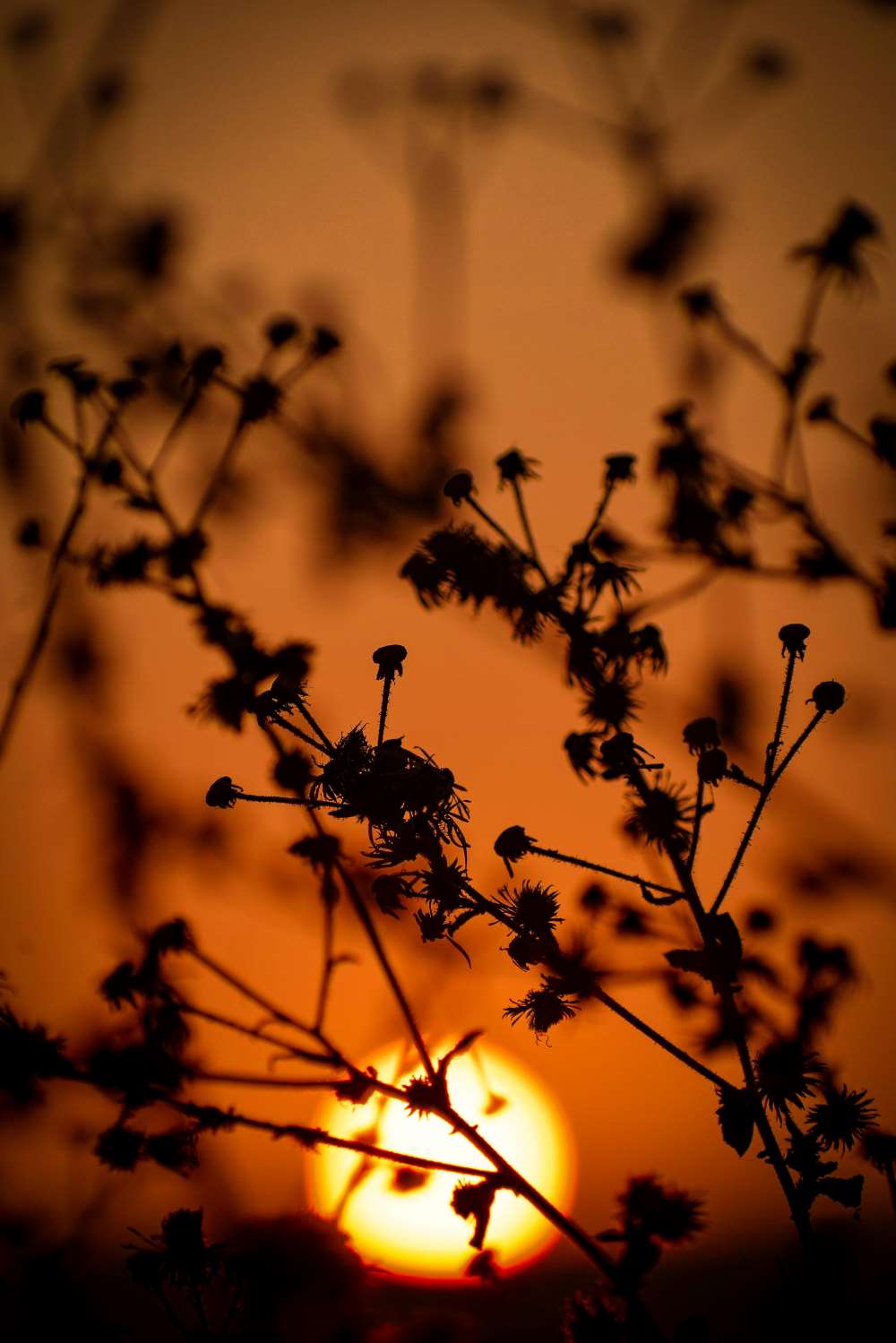 Sunset casting shadows, symbolizing the mysterious nature of planets.