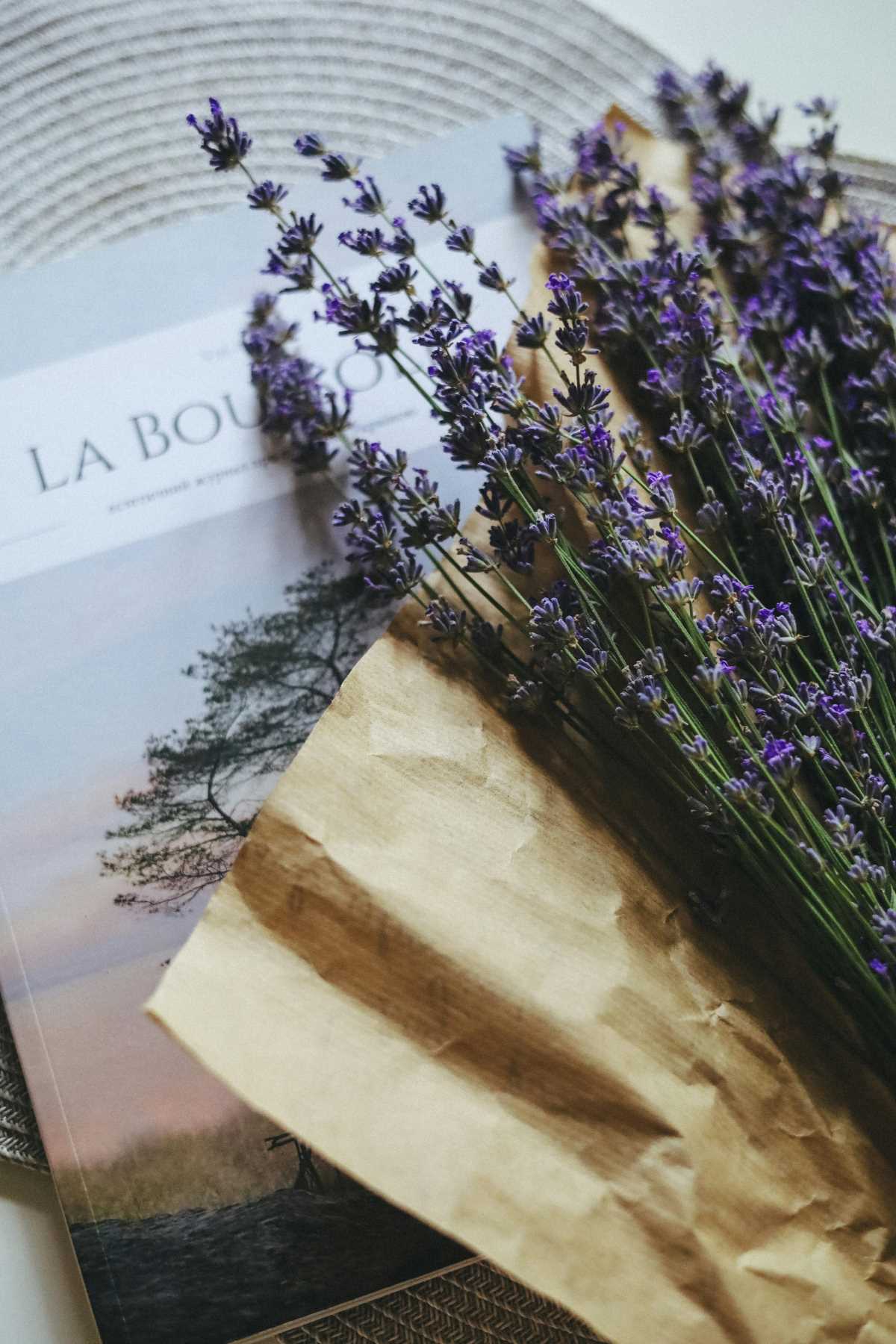 A lush bouquet of lavender purple blooms.