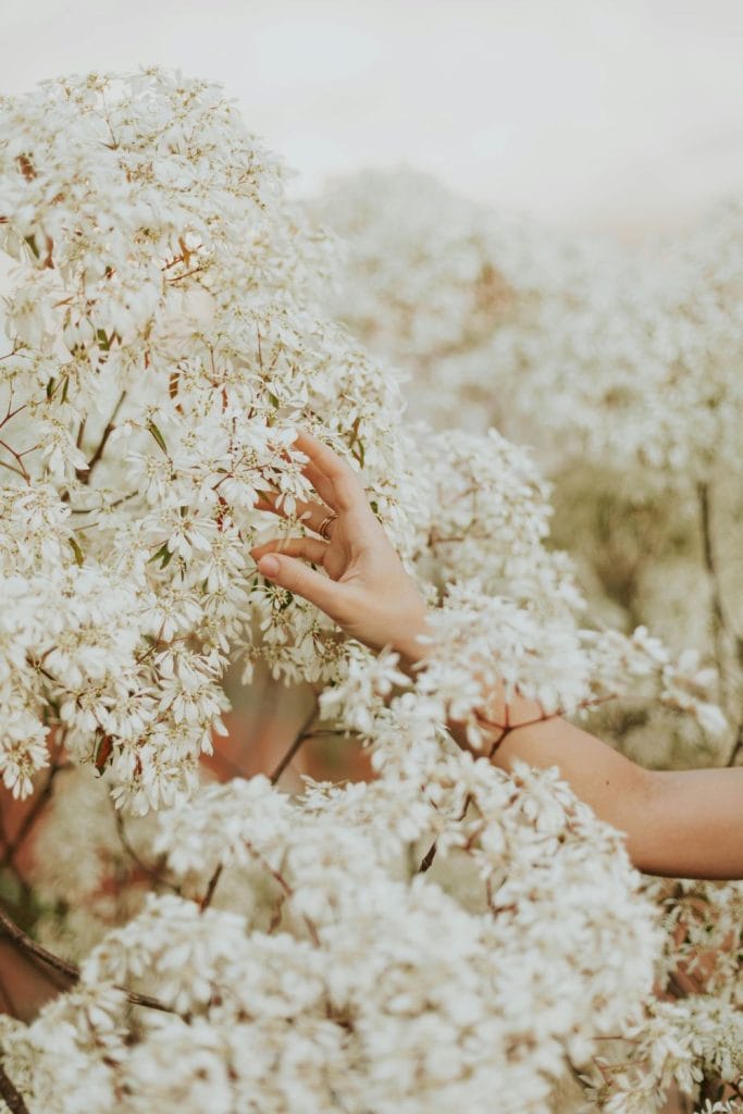 Energy of Abundance: A Mindset Shift from Scarcity to Expansion