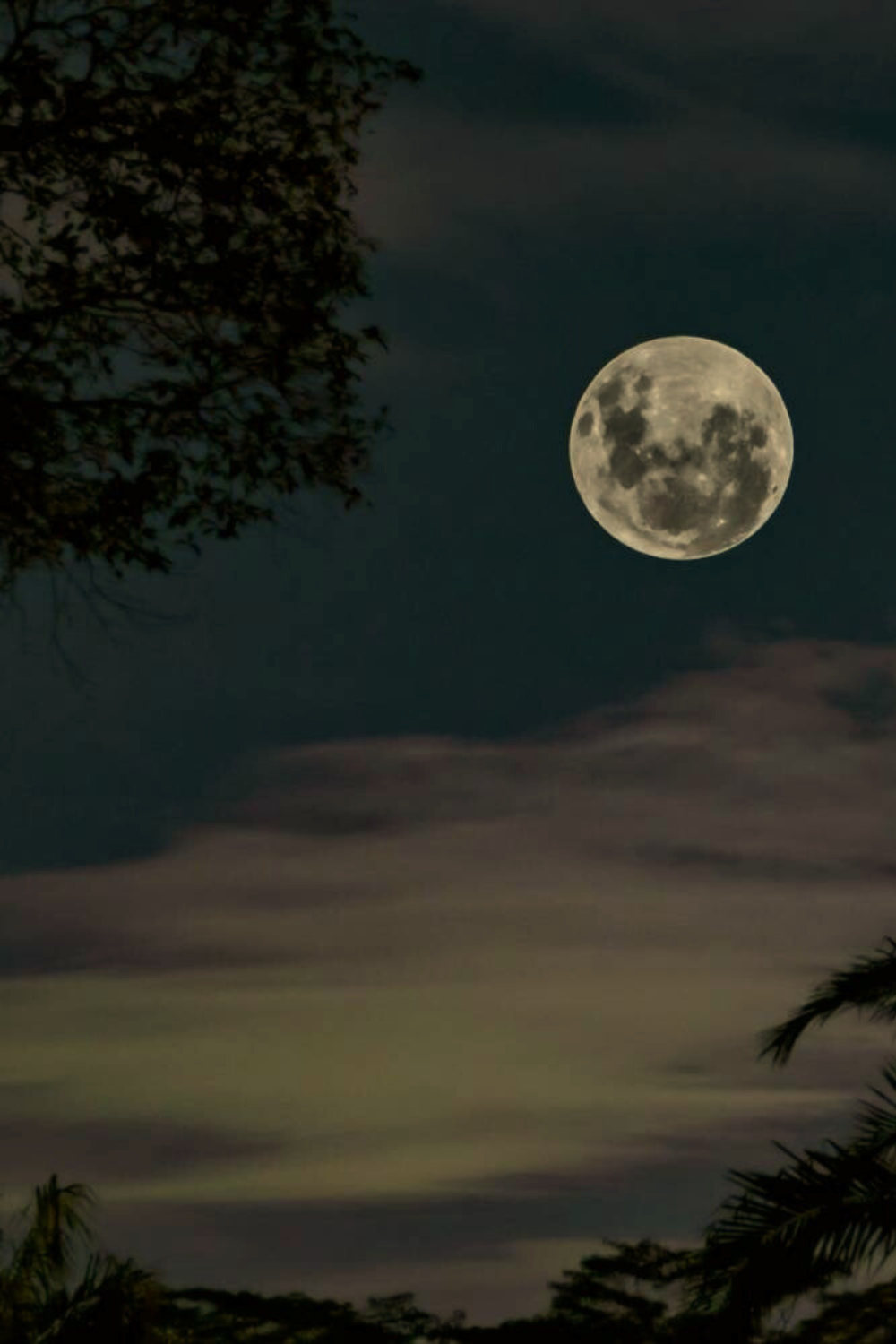 Moon in the Night Sky