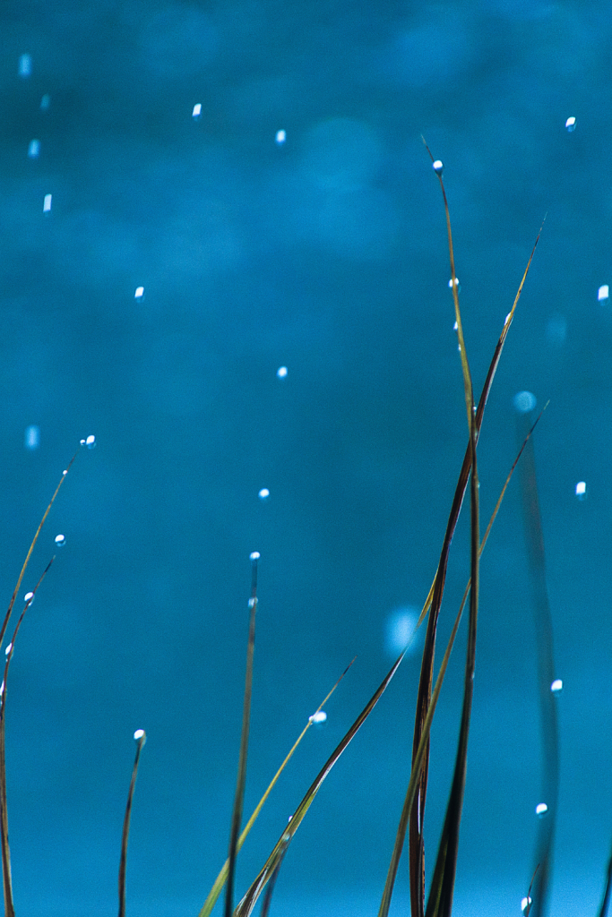 Vishuddha: The Throat Chakra and Its Role in Authentic Communication