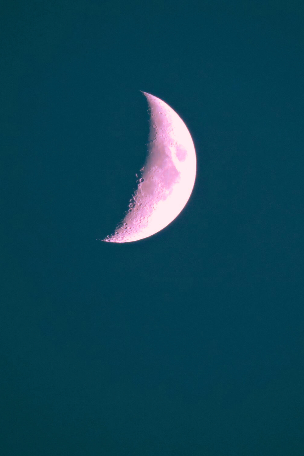 Moon in the Night Sky