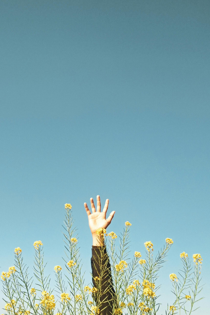 The Crown Chakra: A Portal to Inner Peace and Higher Purpose