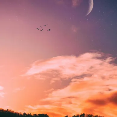 Vedic Astrology Reading