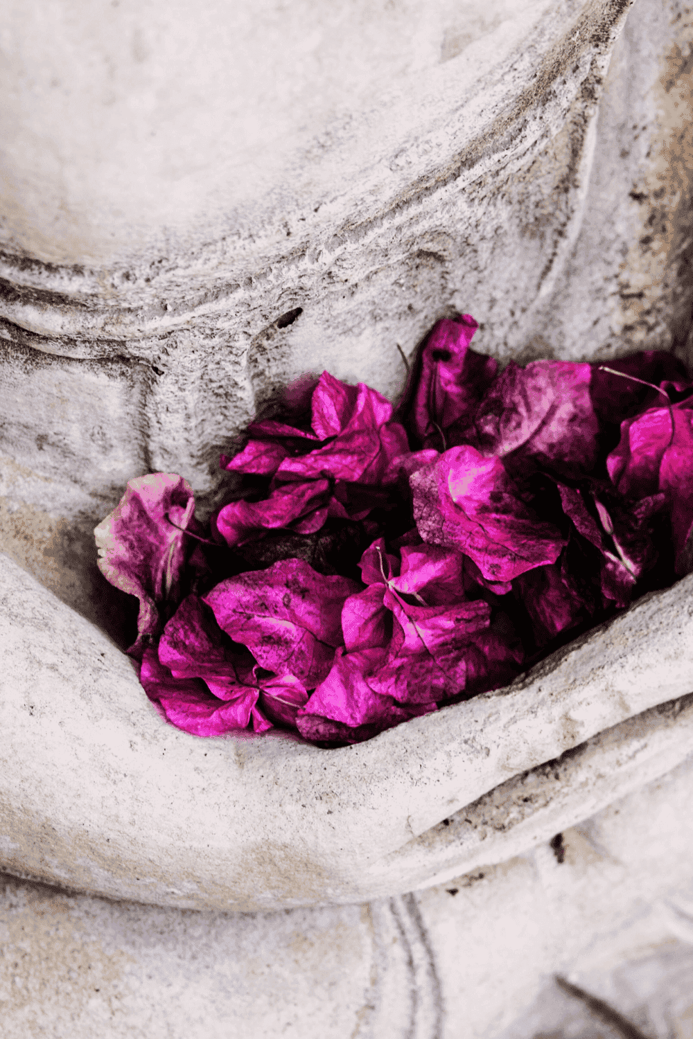 Hands resting in Buddha’s lap, radiating calm.