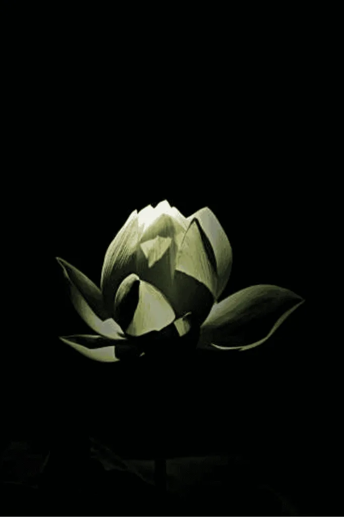 10 Ruling Deities of the Daśāṁśa (D10)