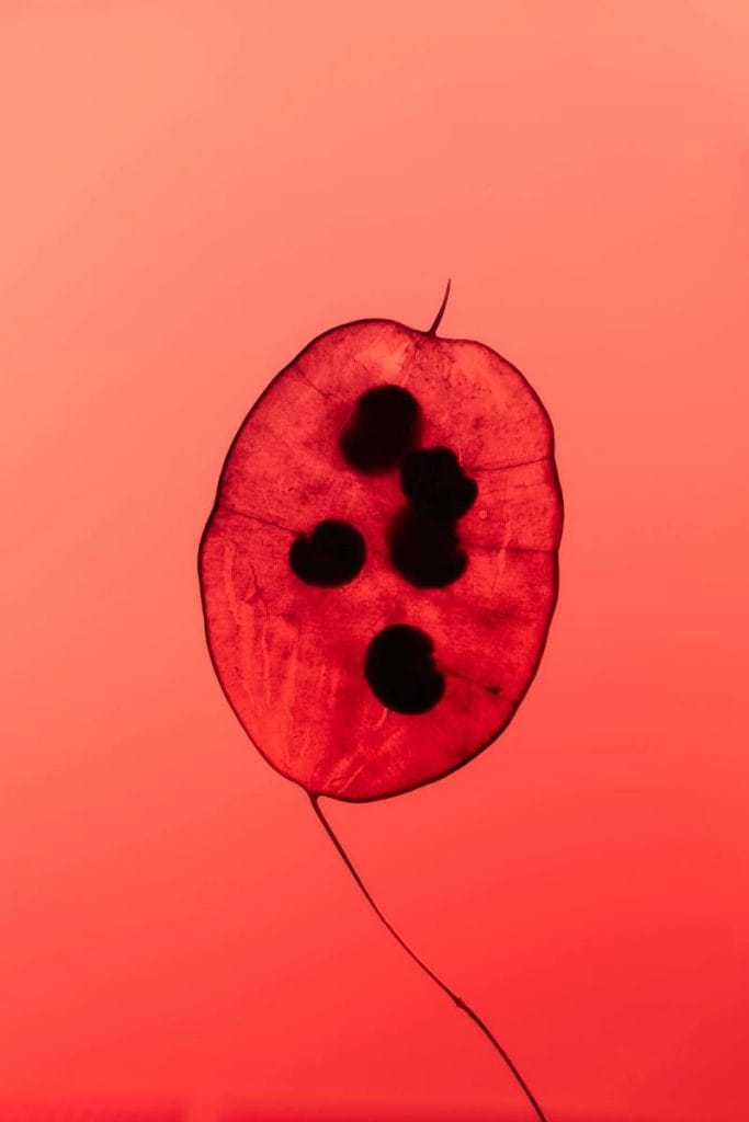 Astrological Transits 2026: Key Planetary Movements That Will Shape Your Year