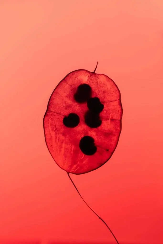 Astrological Transits 2026: Key Planetary Movements That Will Shape Your Year